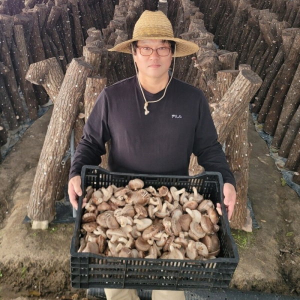 인더숲,[인더숲] 유기농 원목참나무건표고버섯 100g